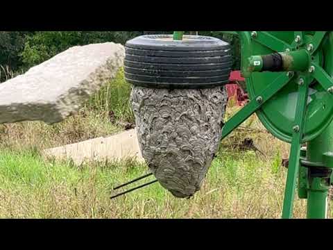 A Massive HORNET NEST Hit and RUN! (Both Attempts)