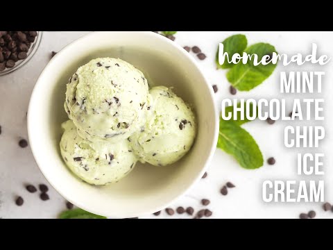 Homemade Mint Chocolate Chip Ice Cream | The Recipe Rebel