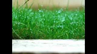 Jill Scott - Love Rain(Uncertain Future Remix by Fly Magnetic a.k.a. Creative Child)