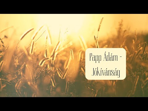 Papp Ádám - Jókívánság