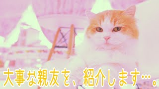 best friend 大事な親友を、紹介します…。