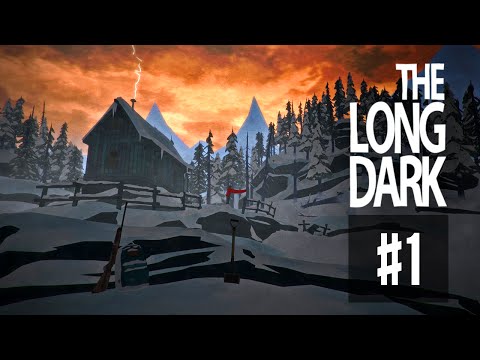 the long dark pc game