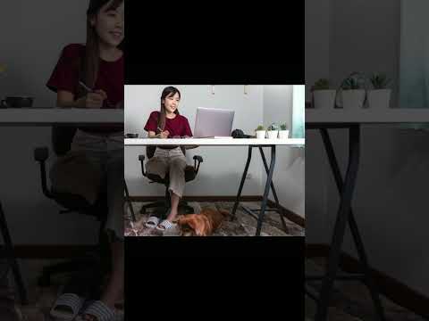 Herbal Memory Booster Capsules Tablets