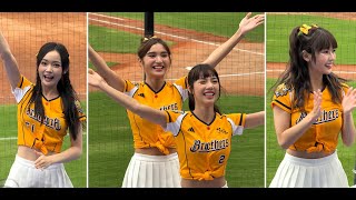 【Passion Sisters】練習生#莎莎#維尼#怡琪#夏蕾#嗆司曲CHARGE！#台湾チアリーディングチーム#中華職棒#CPBL#樂天桃園球場#20241110（12強熱身賽）