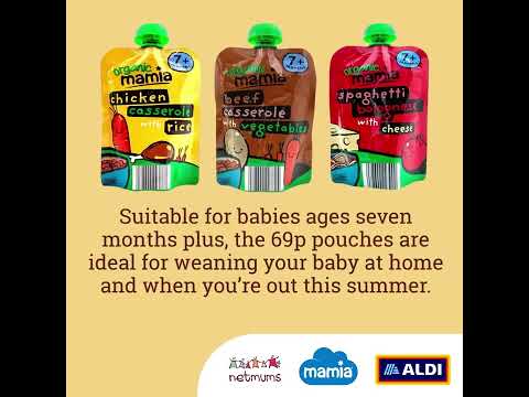 Organix Baby Food Snacks