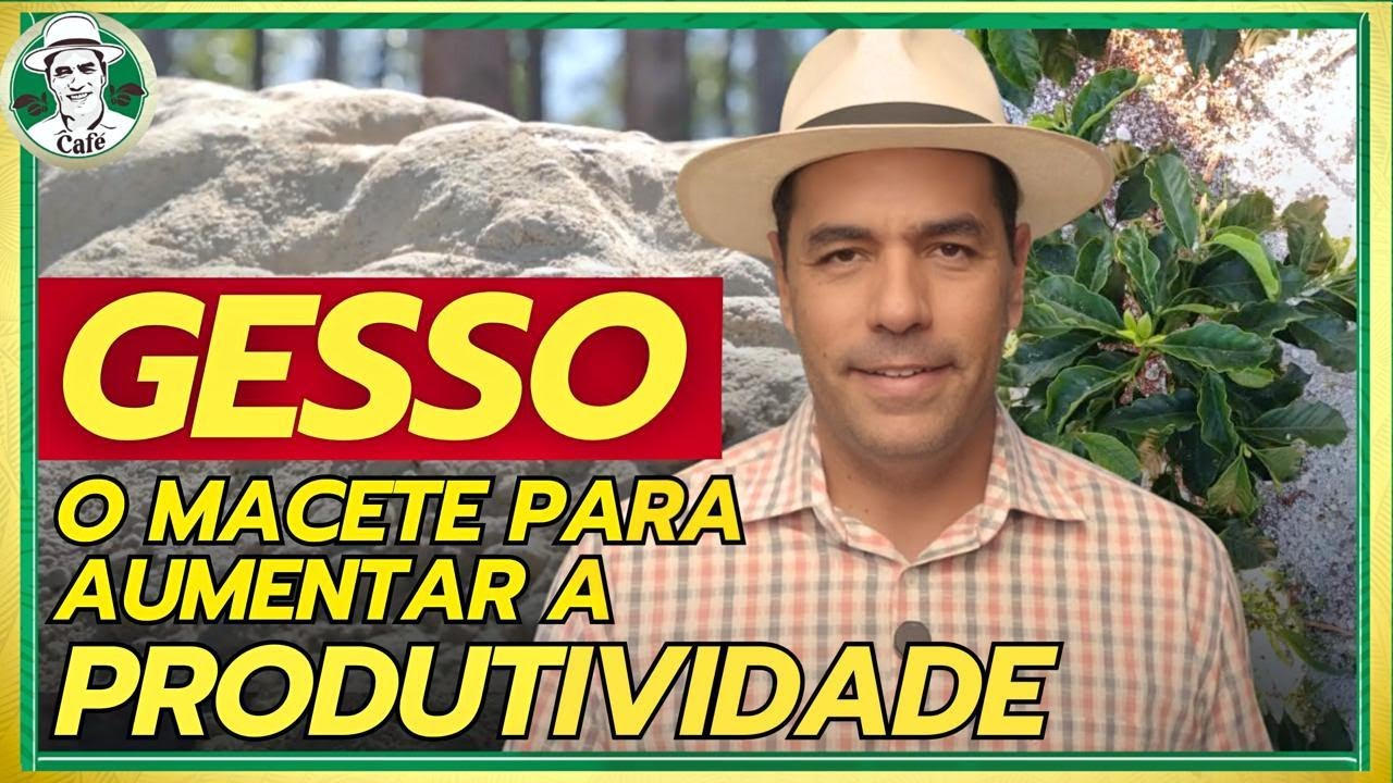 Aumento de produtividade elevando o teor de cálcio no solo.