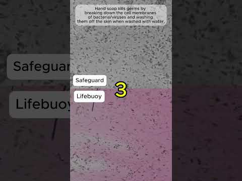 Soap vs Bacteria  | TULO - Microscope#shorts #microscope #bacteria