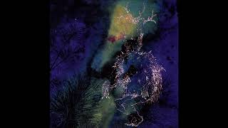 Bardo Pond - Moment to Moment