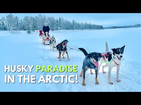 I Tried Husky Sledding in Lapland, Finland! (Was It Worth It?)