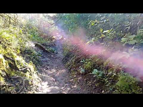 Sendero a las cascadas de Villa Padre Monti parte 1, acompáñenme por favor