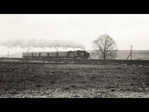 Dampf im Südwesten 1973 Teil 14   Am 21.4.73 mit 24 009 Offenburg-Triberg -Singen-Friedrichshafen.