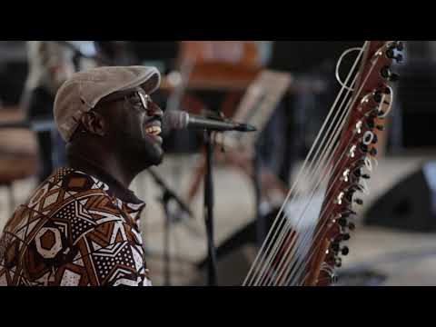 Oak, from Spell Songs II: Let The Light In