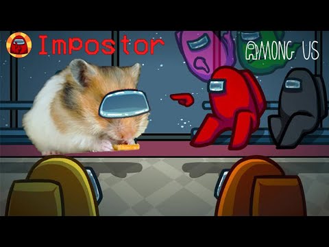AMONG US Hamster runs away from THE IMPOSTER 😱🐹  Hamming life