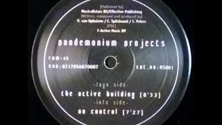 {Vinyl} Pandemonium Projects - No Control
