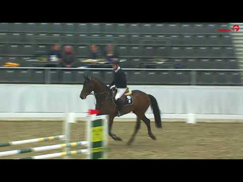 Zinedream v. Zinedine - Contender Landadel