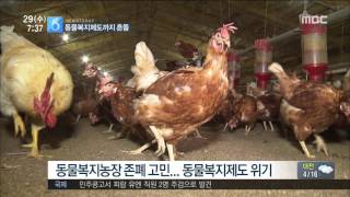 2017년 03월 29일 방송 전체 영상