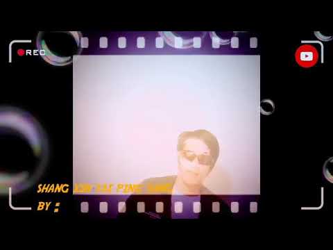 Shang xin tai ping yang-Aliung Frengky chen