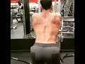 Back work out