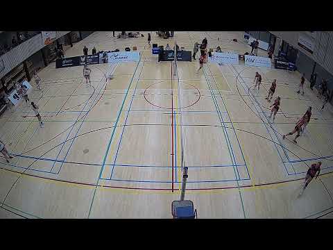 VCN D2 - Somas/Activia D2