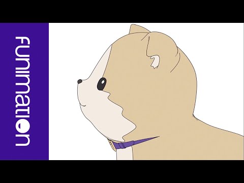 ED1 «Anegdot» — Момосу Момосу