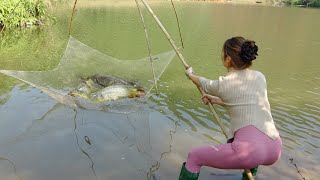 Fishing video: Best fishing skills, Traditional fishing techniques, Harvesting many Big fish