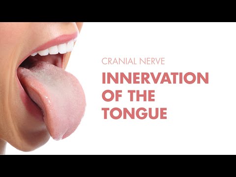 Innervation of the Tongue - Cranial Nerves - MEDZCOOL