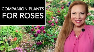 BEST Rose Companion Plants For A Healthy And Beautiful Rose Garden