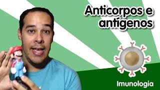 [Imunlogia] 6 - Anticorpos e antígenos