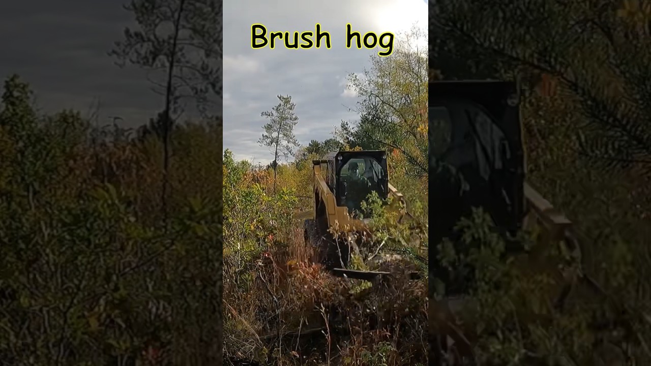 John Deere 333G Forestry Mulcher vs CAT 259D Brush Hog, who does better?  #youtubeshorts #new #diy