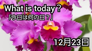 【What is today?】今日は何の日?(1223)|YouTube掲示板《ヒントストック》