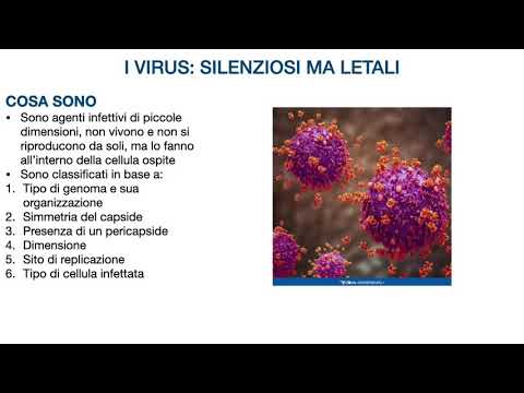 I Virus: silenziosi ma letali