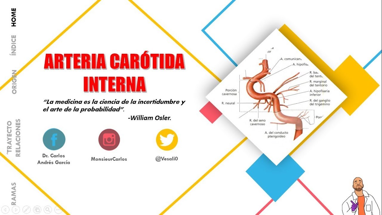 Anatomía - Arteria Carótida Interna (Origen, Trayecto, Porciones, Ramas)