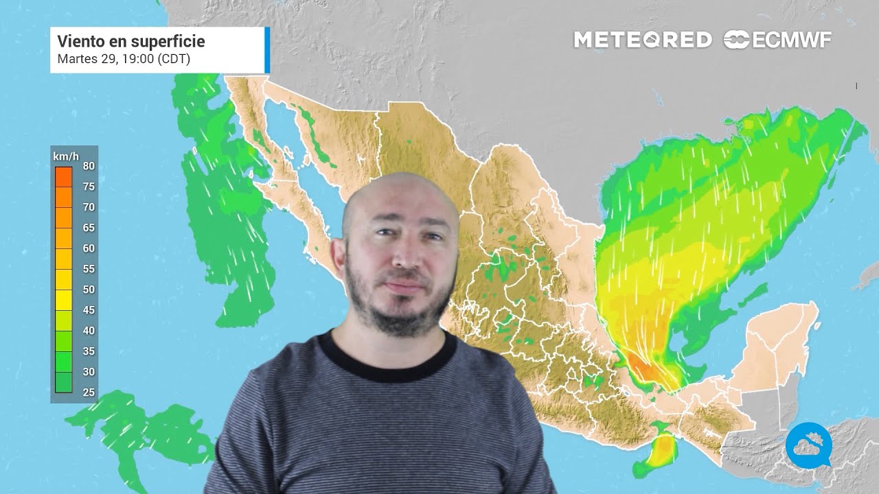 youtube video id=i5Rr-nojAL8