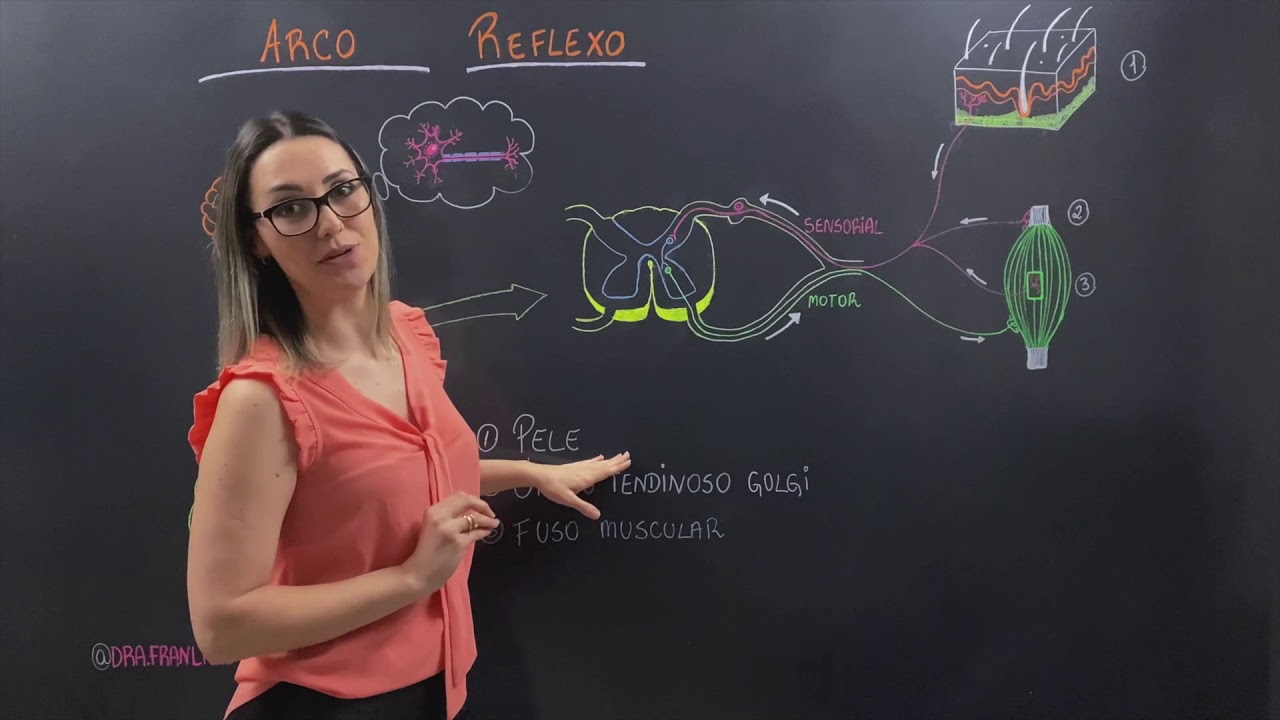 Arco Reflexo - Dra Fran Licks