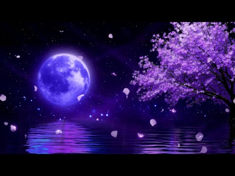 Drift Into Deep Sleep (NO ADS) • Melatonin Release, Remove Negative Blockage • Goodbye Insomnia