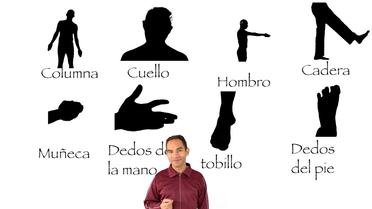 Watch Anatomía básica 3.1 Términos de movimiento (primera parte) Now Anatomía básica 3.1 Términos de movimiento (primera parte)