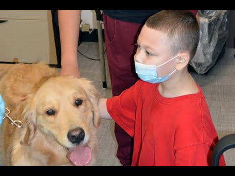 Gomes School Students Convince Superintendent to Get Therapy Dog