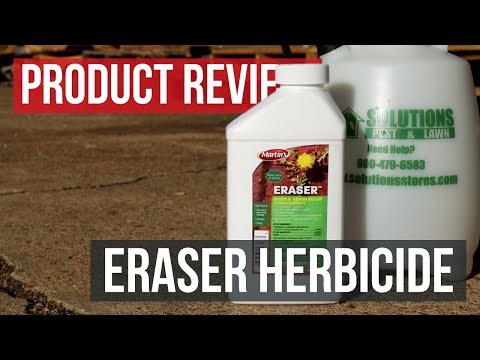 Eraser 41%: Product Review