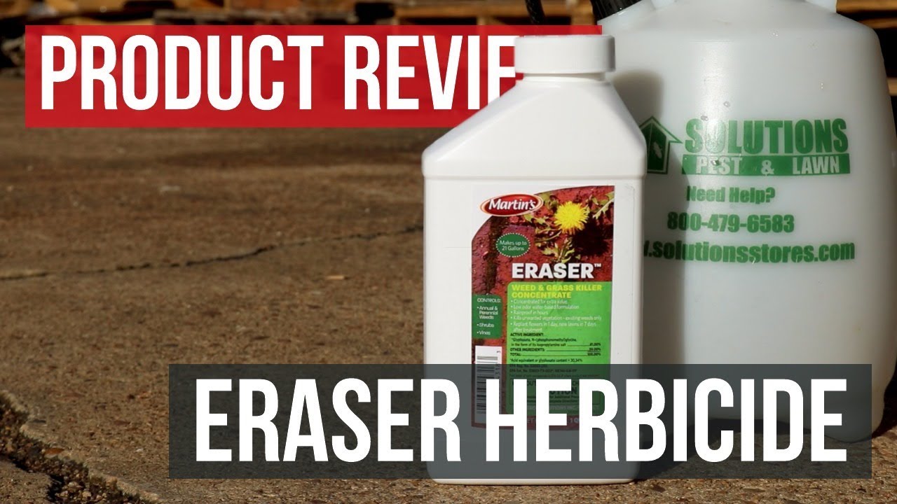 Shop the Best Bare Ground Herbicides | Solutions Pest & Lawn