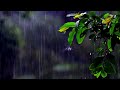 Rain Status Beautiful Rain WhatsApp Status Rain Short Video