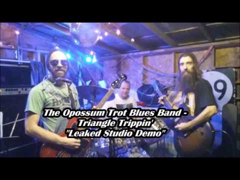 The Opossum Trot Blues Band - Triangle Trippin' (Leaked Studio Demo)