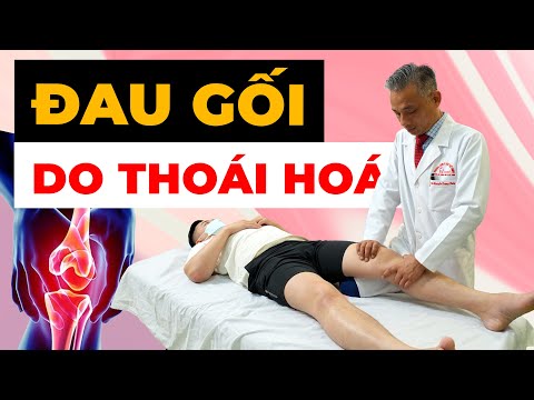 Đau Gối Thoái Hóa Khiến Bạn Sợ Vận Động? Phá Vỡ Vòng Luẩn Quẩn Này Ngay!