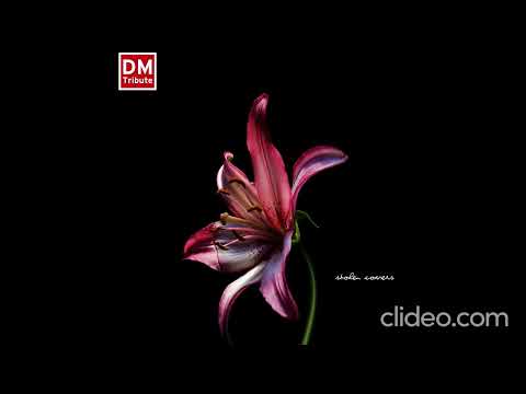 Various artists - A Tribute To Depeche Mode - Stolen Covers (4CD) 2008