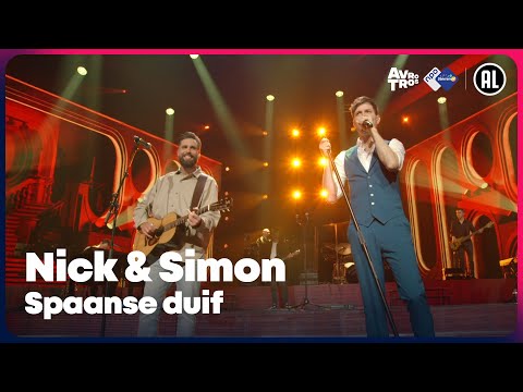 Nick & Simon - Spaanse duif | Sterren NL