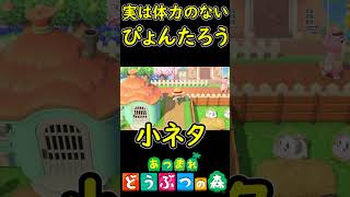 実はぴょんたろうは体力がない説　【あつまれどうぶつの森】 イースターイベント　小ネタ　【あつ森】　#Shorts