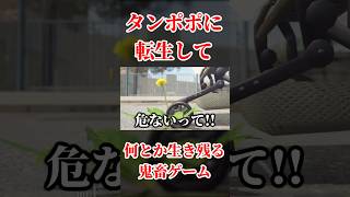 【Xで10000♡された】絶望的な状況から『タンポポ』を守る鬼畜ゲーム。【タンポポは耐える。】