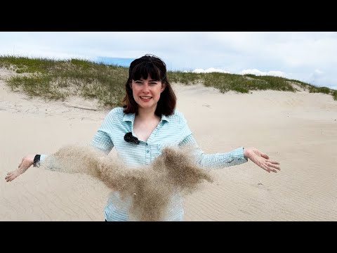 The beaches are made of poop! | How Sand Is Formed