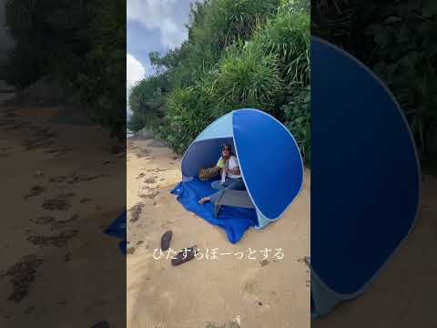 庭にリラクゼーションエリアを作る 木製ガーデンブランコ 装飾クッション 緑