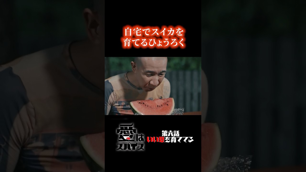 夏に外で食べるスイカは最高だろうね。愛はスパイス。#ひょうろく #aマッソ加納 #蓮見翔 #佐久間宣行 #ショートドラマ