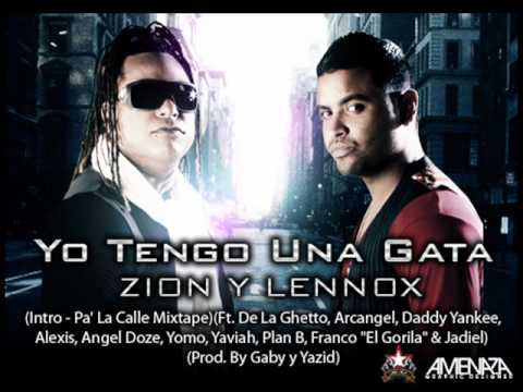Yo Tengo Una Gata - (Original) Zion & Lennox Ft. Various Artists